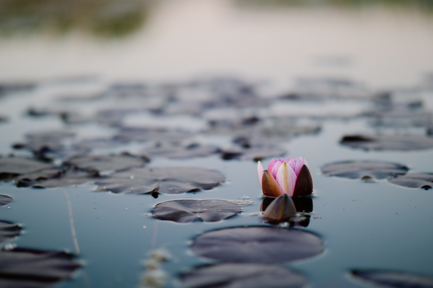 The Ultimate Guide to Daily Meditation Practice